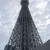 すみだ水族館