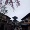 【京都小紀行 ひとり旅５】三年坂・二年坂の桜の景色
