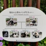 ２年半振りの再会は、上野動物園のパンダ